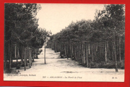 (RECTO / VERSO) ARCACHON - N° 223 - LA FORET DE PINS - CPA - Arcachon