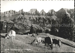 11650208 Tannenbodenalp Moiseralp Motiv Mit Churfirsten Tannenboden - Sonstige & Ohne Zuordnung