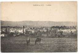 Salornay Sur Cuye Pres Chalon Sur Saone - Chalon Sur Saone