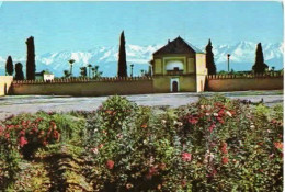 *CPM - MAROC - MARRAKECH - Jardins De L'Agueda - Marrakesh