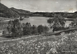 11650075 Hausen Albis Tuerlersee Hausen Am Albis - Sonstige & Ohne Zuordnung