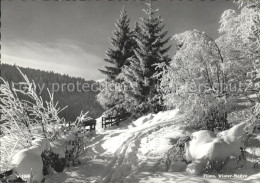 11650049 Flims Waldhaus Winterlandschafts Motiv Flims Waldhaus - Autres & Non Classés