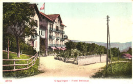 MAGGLINGEN, ARCHITECTURE, HOTEL, FLAG, SWITZERLAND, POSTCARD - Sonstige & Ohne Zuordnung