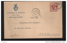 1918  CARTOLINA CON ANNULLO MANTOVA  + TS - Poststempel