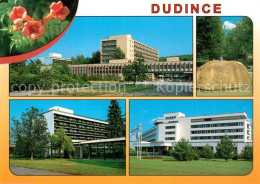 73260093 Dudince Rubin Smaragd Diamant Dudince - Slowakei