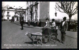 PORTUGAL-AÇORES-SÃO MIGUEL-PONTA DELGADA-Attelage De Mouton-Carroça De Carneiro(Ed.Cervejaria Pereira Nº31)carte Postale - Artigianato