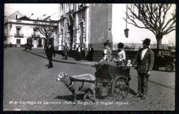 PORTUGAL-AÇORES-SÃO MIGUEL-PONTA DELGADA-Attelage De Mouton-Carroça De Carneiro(Ed.Cervejaria Pereira Nº31)carte Postale - Craft