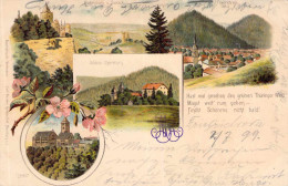 Thüringer Wald Mehrbild Litho Gel.1899 AKS - Autres & Non Classés