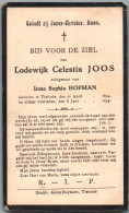 Bidprentje Tielrode - Joos Lodewijk Celestin (1894-1933) - Devotieprenten