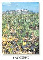 Vignes - Sancerre - CPM - Voir Scans Recto-Verso - Wijnbouw