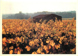 Vignes - La Vigne En Automne - CPM - Flamme Postale - Voir Scans Recto-Verso - Wijnbouw