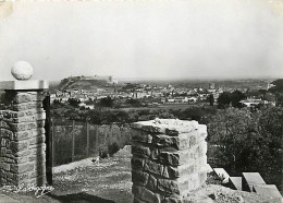 30 - Villeneuve Les Avignon - Vue Générale Et Le Fort St-André - Carte Dentelée - CPSM Grand Format - Voir Scans Recto-V - Villeneuve-lès-Avignon