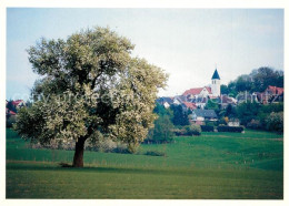 73258451 Otzberg Odenwald Teilansicht Otzberg Odenwald - Autres & Non Classés