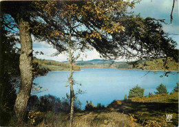 87 - Vassivière En Limousin - Le Lac De Vassivière - CPM - Voir Scans Recto-Verso - Other & Unclassified