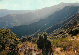 30 - Gard - Le Massif Du Mont Aigoual - Le Massif De L'Aigoual Vu Du G.R.6, Près D'Aire De Côte - CPM - Voir Scans Recto - Other & Unclassified