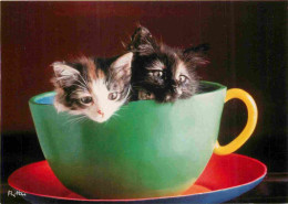 Animaux - Chats - CPM - Voir Scans Recto-Verso - Gatti