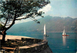 73 - Aix Les Bains - Lac Du Bourget Et Panorama Sur La Dent Du Chat - Carte Dentelée - CPSM Grand Format - Voir Scans Re - Aix Les Bains