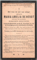Bidprentje Viersel - De Herdt Maria Amelia (1834-1905) - Images Religieuses