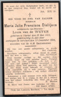 Bidprentje Viersel - Dieltjens Maria Julia Francisca (1872-1924) - Santini