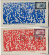 United Nations 1956 Complete Series 2 Maximum Card Human Rights Day Cancel New York No Printing On Back - Cartoline Maximum