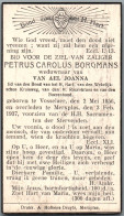 Bidprentje Vosselaar - Borgmans Petrus Carolus (1856-1937) - Imágenes Religiosas