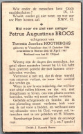 Bidprentje Vosselaar - Broos Petrus Augustinus (1864-1947) - Images Religieuses