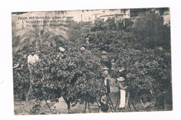 D  06 -  Cpa -  GRASSE - LA CEUILLETTE DES FLEURS D'ORANGER - Pas Courante - ( éd  Roure - Bertrand Fils - Grasse ) - Grasse