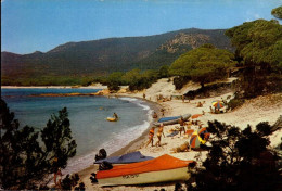 PORTO-VECCHIO   ( CORSE DU SUD )   LA PLAGE DE PALOMBAGGIA - Altri & Non Classificati