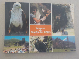 CPSM -  AU PLUS RAPIDE - OISEAUX - LE DONJON DES AIGLES - BEAUCENS (65) -   NON VOYAGEE - Oiseaux