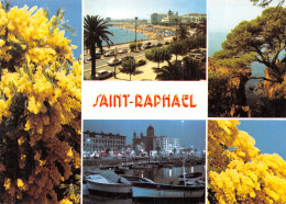 83-SAINT RAPHAEL-N°T1082-B/0301 - Saint-Raphaël