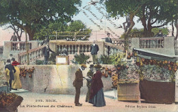 *CPA - 06 NICE - Plate-forme Du Château - Colorisée - Parchi E Giardini