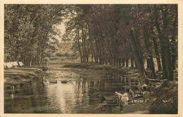 71 - Autun - Les Rives De L'Arroux - Animée - CPA - Carte Neuve - Voir Scans Recto-Verso - Autun