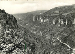 48 - Dargilan - Vue Sur La Jonte - Carte Dentelée - CPSM Grand Format - Voir Scans Recto-Verso - Autres & Non Classés