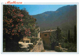 Espagne - Espana - Islas Baleares - Mallorca - Maison Typique - Fleurs - CPM - Voir Scans Recto-Verso - Mallorca