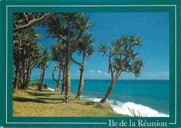 Ile De La Réunion - Saint André - Bord De Mer - Champ Borne - CPM - Voir Scans Recto-Verso - Altri & Non Classificati