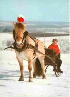 Animaux - Chevaux - Traineau - Neige - CPM - Voir Scans Recto-Verso - Pferde