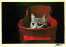 Animaux - Chats - CPM - Voir Scans Recto-Verso - Cats