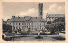87-LIMOGES-N°T2506-D/0317 - Limoges