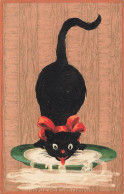 N°24991 - Animaux - Un Chat Noir Lapant Du Lait - Katzen