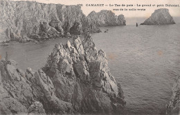 29-CAMARET SUR MER-N°T2511-G/0205 - Camaret-sur-Mer