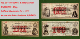 USA Note National Bank Sandusky & Nes Silicon Steel Co. Ohio 1873 $1 - $2 - $5 LOT - Sonstige & Ohne Zuordnung