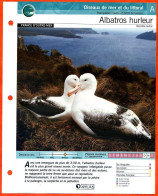 ALBATROS HURLEUR Oiseau Illustrée Documentée  Animaux Oiseaux Fiche Dépliante Animal - Tiere