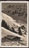 Untere Schönfeldalm Im Schnei - Bei Schliersee - Schliersee