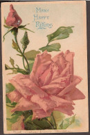 Best Wishes 1905 Beautiful Painted Roses - Birthday