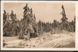 Winterwald Im Erzgebirge - Autres & Non Classés