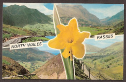 North Wales Passes: Nant-Ffrancon - Llanberis - Sychnant - Tal-Y-Llyn - Autres & Non Classés