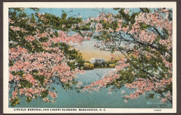 Lincoln Memorial And Cherry Blossoms - Washington D.C. - Washington DC