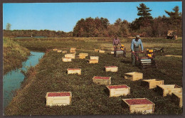 Ocean Spray Cranberries Inc. - Hanson Massachusetts - Sonstige & Ohne Zuordnung