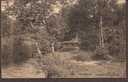 Houffalize - Paysage à L 'Hermitage - Houffalize