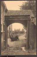 Leuven - Abbaye Du Mont-César - Abdij Van Keizersberg - Un Prêtre Avec Un Ane.  XVI Siècle  - Leuven